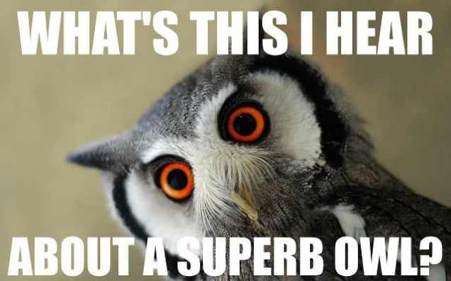 15815707424_2597d35d65_o