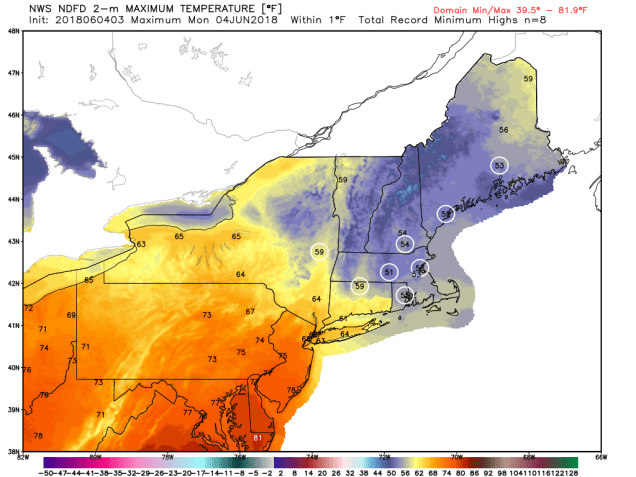 ndfd_record_minhi_neng_1