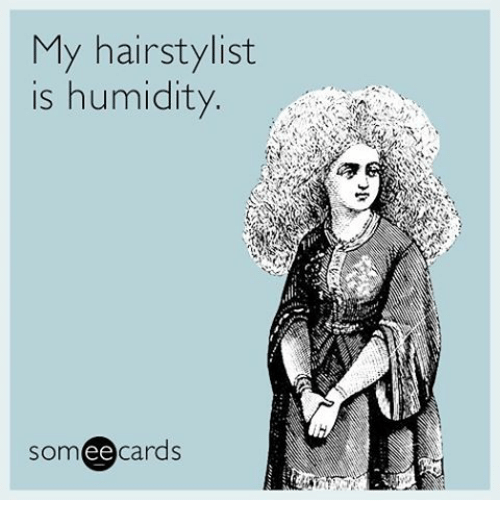 my-hairstylist-is-humidity-ee-cards-20449193