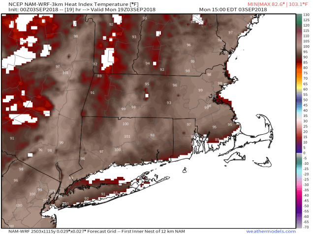 NAM-WRF 3-km Mass &amp; CT &amp; RI Heat Index 19